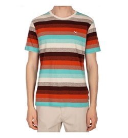 Iriedaily Pixelize Tee