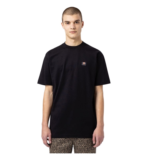 Dickies Mount Vista Tee
