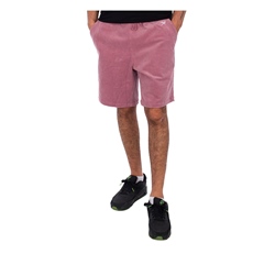 Iriedaily Corvin Short