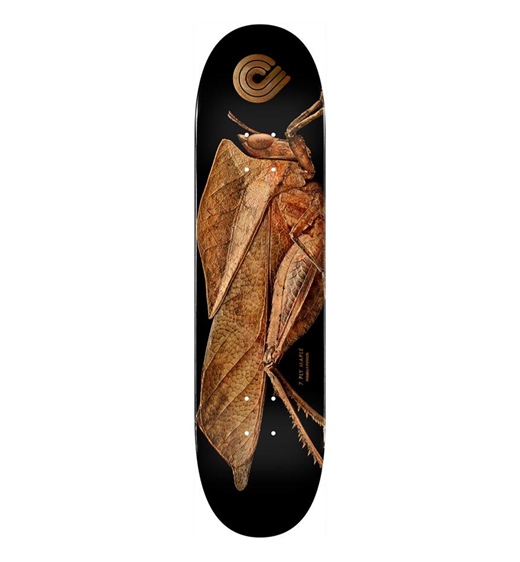 Powell Peralta Deck Biss Flight 249 Leaf Gr. Hop. 8.5